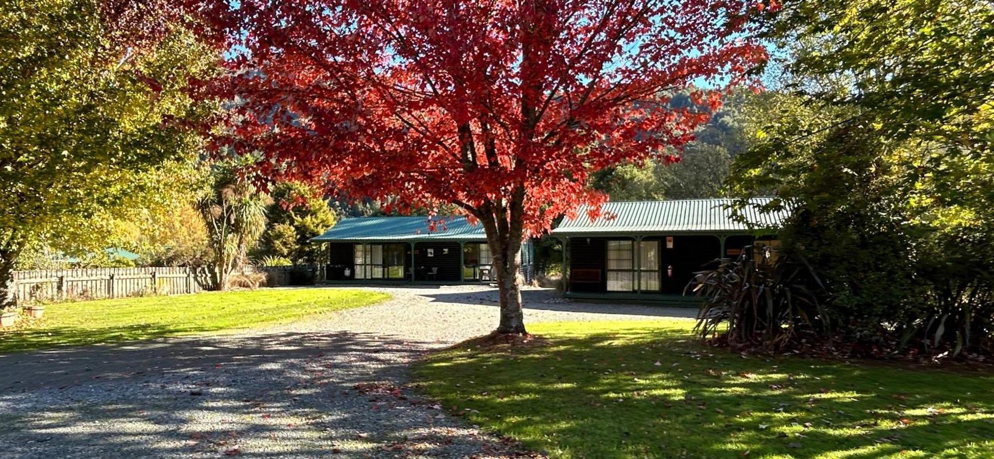Kiwi Park Motels Murchison Kültér fotó